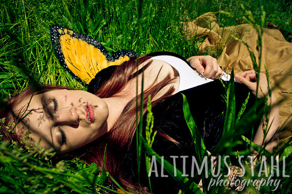 Chrysalis